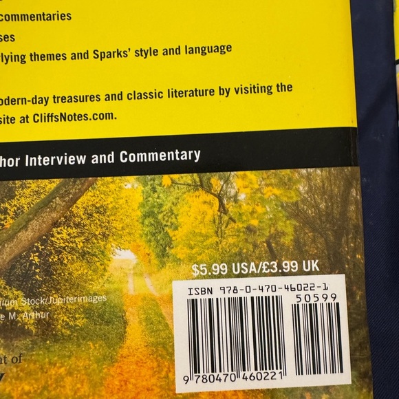 Nicholas Spark Teacher Guides And Cliff Notes For The Notebook/Walk To Remember - Picture 12 of 14